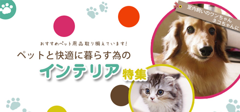 岐阜 DIY＆リフォームショップREROOM【ペット特集 滑り止め】